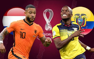 Nhận định, dự đoán kết quả Hà Lan vs Ecuador (23h ngày 25/11): "Lốc cam" tàn phá Ecuador?