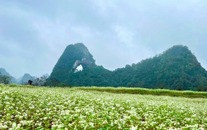 Ngọn núi duy nhất nào của Việt Nam "có mắt", tên núi là Núi Mắt Thần, núi này ở tỉnh nào?