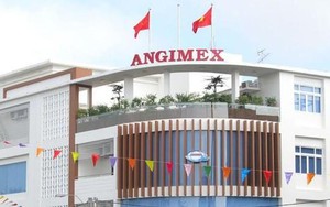 Kinh doanh đình trệ sau khi ông Đỗ Thành Nhân bị bắt, Angimex (AGM) xin lùi trả lãi lô trái phiếu 350 tỷ đồng