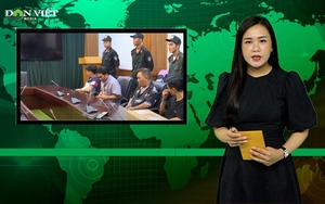 Bản tin Dân Việt Nóng ngày 23/11: Bộ công an bắt đường dây cá độ 30.000 tỉ mùa World Cup 2022