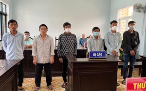 Phú Quốc: 6 đối tượng phá rừng phòng hộ bị tuyên án 43 năm tù giam