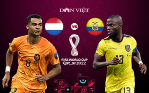 Info thống kê Hà Lan vs Ecuador (23h00 ngày 25/11, bảng A World Cup 2022): Thắng là có vé sớm