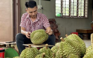 Vừa ký Nghị định thư với Trung Quốc, giá một loại quả ở Việt Nam đã tăng gấp ba