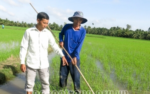 Nông dân trồng lúa Sóc Trăng có cách gì né "bão giá" phân  bón tăng gấp đôi?