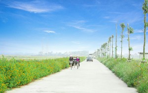 Huyện Yên Dũng: Điểm sáng trong phát triển nông thôn mới ở Bắc Giang