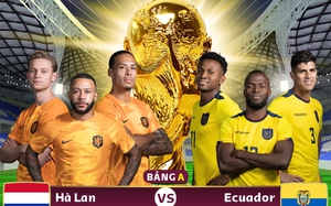 Xem trực tiếp Hà Lan vs Ecuador trên VTV2, VTV Cần Thơ