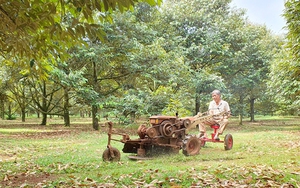 Cả làng phục lăn ông nông dân Đồng Nai sáng chế máy cắt cỏ tự động, loáng cái đã cắt xong cả vườn