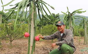 Quyết tâm đưa huyện Lục Nam (Bắc Giang) về đích nông thôn mới năm 2023