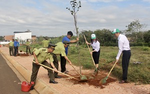 Đắk Lắk: Trồng mới gần 100 cây sao đen tạo mảng xanh trong khu tái định cư 