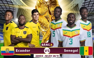 Xem trực tiếp Ecuador vs Senegal trên VTV5