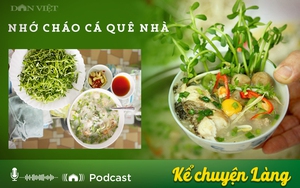 Nhớ cháo cá quê nhà