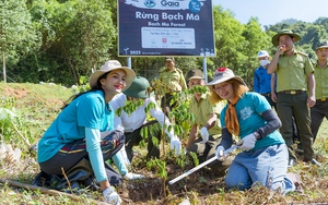Hoa hậu H’hen Niê tham gia trồng 3,5 ha rừng tại Thừa Thiên Huế 