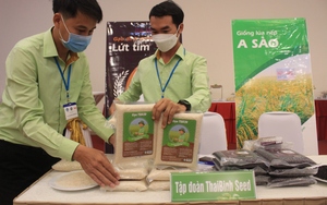 Cuộc thi Gạo ngon Việt Nam đang diễn ra: 6 đơn vị so tài, gạo nào sẽ giành giải Nhất?