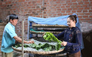 Nuôi một &quot;loài sâu&quot; chỉ ăn lá dâu nhả ra thứ sợi bóng, nông dân tự tạo việc làm, đẩy thu nhập tăng lên