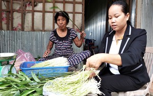 Chuyện lạ Kiên Giang, trồng cây dại nhổ ngó non bán, cả làng kiếm bộn tiền
