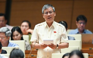 ĐBQH Nguyễn Anh Trí: Tham nhũng vặt ngày càng tinh vi, phong học hàm, học vị cũng cần phí bôi trơn