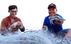 Săn ghẹ nghịch mùa, ngư dân Phú Quốc vẫn kiếm tiền triệu mỗi ngày