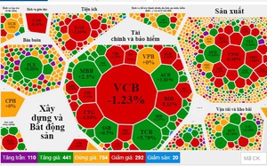 Thị trường chứng khoán như "tàu lượn", VN-Index chấm dứt đà tăng 5 phiên liên tiếp