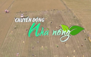 Chuyển động Nhà nông 1/12: Ứng phó hạn, mặn vùng ĐBSCL vụ đông xuân 2022 – 2023