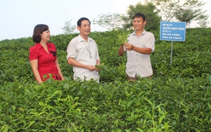 Nông thôn mới Tuyên Quang, phát huy vai trò chủ thể của nông dân, hơn 35.000 mô hình cho thu nhập cao