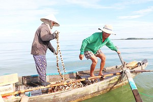 Mẹo hay: Dùng vỏ sò đuổi bắt loài cá đặc sản của lòng hồ Trị An