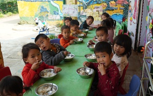 Nông nghiệp đảm bảo dinh dưỡng cho hộ nghèo: Cải thiện dinh dưỡng, nâng cao thể trạng, tầm vóc cho người Việt (Bài cuối)