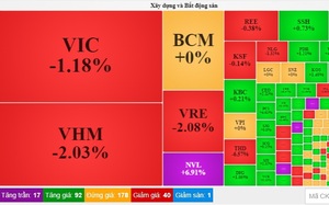 "Ông lớn" Novaland lại được giải cứu, VN-Index tăng gần 9 điểm