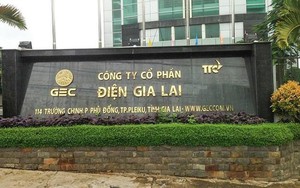 Điện Gia Lai (GEG) giải thể 1 công ty con, tạm dừng chào bán hơn 30 triệu cổ phiếu