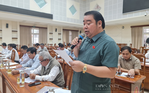 Quảng Nam: Nếu đại biểu Nguyễn Viết Dũng vi phạm sẽ xử lý theo quy định