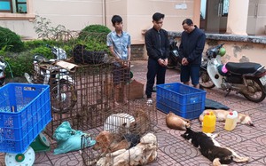 Nhóm đối tượng trộm đến 3 tấn chó trong hơn 1 tháng