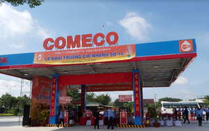 COMECO hoãn tạm ứng cổ tức 2022 bằng tiền mặt