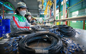 ADB dự báo kinh tế Việt Nam tăng trưởng 7,5% trong năm nay