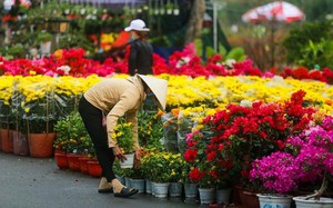 Chợ hoa xuân Bình Điền 2023 miễn phí tiền thuê mặt bằng