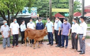 Hội Nông dân huyện Quế Võ giữ vững danh hiệu đơn vị dẫn đầu phong trào thi đua toàn tỉnh Bắc Ninh