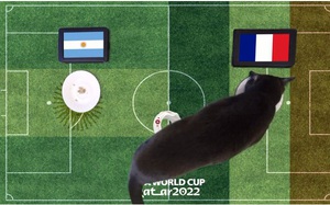 Mèo tiên tri Cass dự đoán kết quả Argentina vs Pháp, 12h ngày 18/12, chung kết World Cup 2022