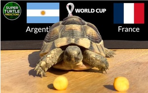 Thần Rùa dự đoán kết quả Argentina vs Pháp, 22h ngày 18/12, chung kết World Cup 2022