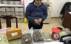 Phá 2 vụ buôn ma túy, thu giữ hơn 4 kg cần sa tại Huế 
