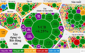 165 mã tăng trần, VN-Index đóng cửa phiên cuối tuần tăng gần 44 điểm 