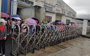 Nghi ngờ công ty sắp giải thể, hàng loạt công nhân ở Đà Nẵng tụ tập dưới mưa đòi quyền lợi