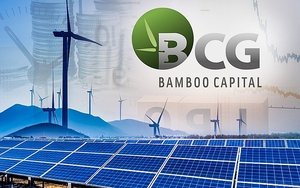 Bamboo Capital (BCG): Giải trình giá cổ phiếu tăng liên tiếp là do cung cầu thị trường