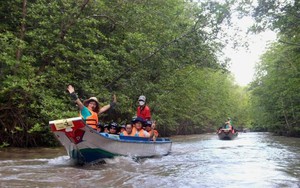 Rừng ngập mặn nào của Việt Nam hệ sinh thái đa dạng thứ 2 thế giới, rừng này thuộc địa phận tỉnh nào?