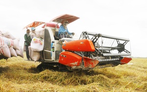 Việt Nam có thể xuất khẩu gạo đạt 5-6 tỷ USD chứ không chỉ là 3 tỷ USD?