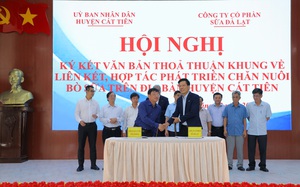 Dalatmilk ký kết hợp tác phát triển chăn nuôi bò sữa tại huyện Cát Tiên (Lâm Đồng)