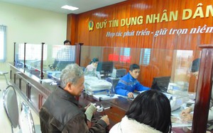 Phó Thủ tướng yêu cầu NHNN tăng cường thanh tra, kiểm tra, giám sát toàn diện hoạt động của Quỹ tín dụng nhân dân