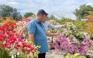 Nông thôn mới Đồng Nai, toàn tỉnh có thêm 21 xã đạt chuẩn nông thôn mới nâng cao, nông thôn mới kiểu mẫu