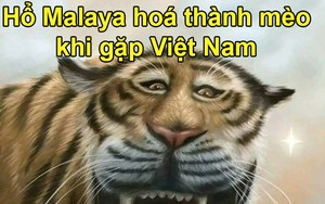 Ảnh chế: Hổ Malaysia hóa thành… mèo khi gặp ĐT Việt Nam