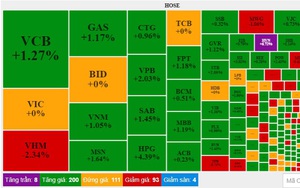 Nhóm cổ phiếu vốn hóa lớn phục hồi, VN-Index tăng gần 8 điểm