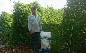 Vườn rộng 2ha, anh nông dân Phú Yên nuôi trồng "lung tung" mấy loại cây, con mà mỗi năm "bỏ túi" 400 triệu?