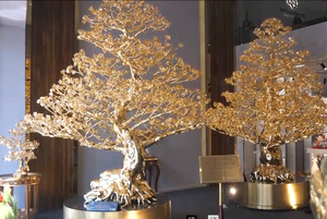 Choáng với thú chơi đại gia Việt:  "Săn" cây mai mạ vàng cao 3m giá 5,5 tỷ đồng