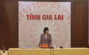  Nữ Phó Chủ tịch UBND tỉnh Gia Lai được chỉ định giữ chức Phó Bí thư Ban cán sự UBND tỉnh